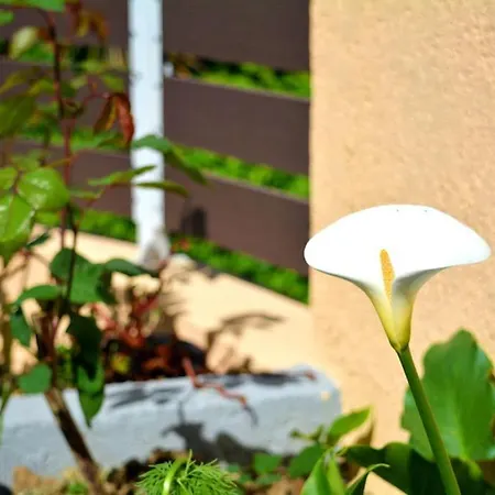 Anna's First Floor דירה *